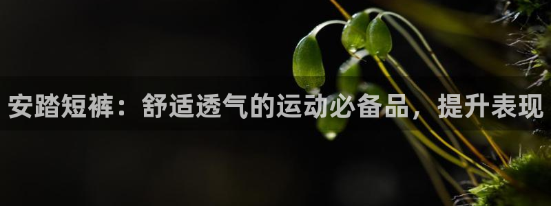 欧陆娱乐官网网址大全：安踏短裤：舒适透气的运动必备品