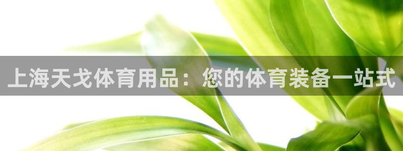 欧陆娱乐公司产品介绍大全：上海天戈体育用品：您的体育