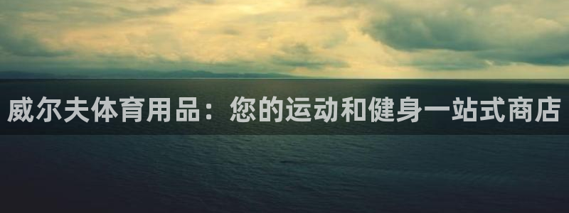 欧陆娱乐登录测速网站：威尔夫体育用品：您的运动和健身一站式商