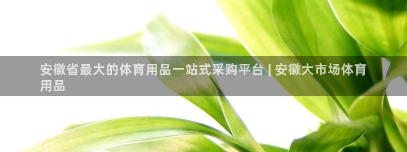 欧陆娱乐怎么注册账号登录：安徽省最大的体育用品一站式