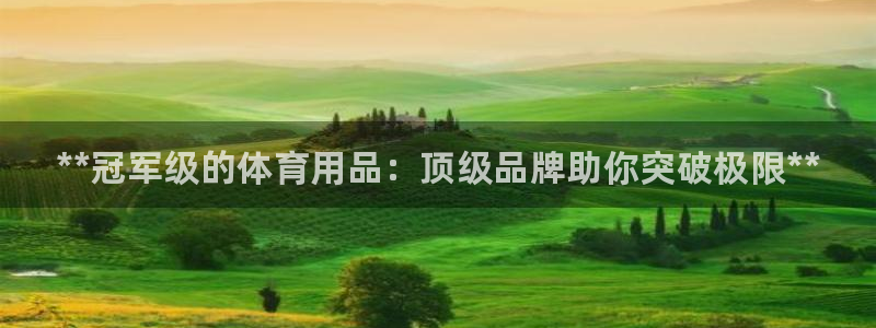 欧陆游戏平台:**冠军级的体育用品:顶级品牌助你突破极限**