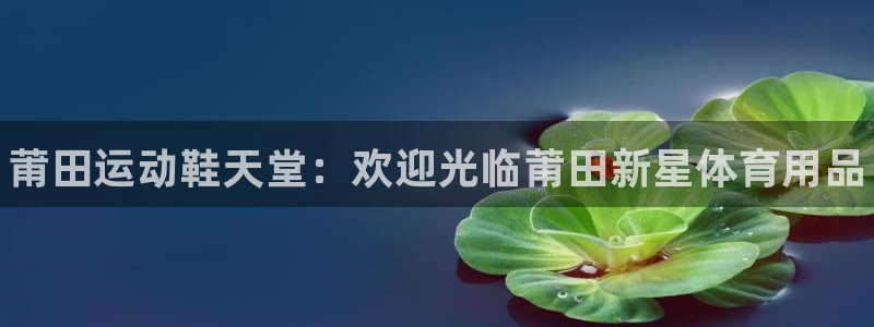 欧陆娱乐官网注册中心下载:莆田运动鞋天堂:欢迎光临莆田新星体