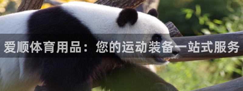 欧陆娱乐代理 贴吧是真的吗:爱顺体育用品:您的运动装备一站式