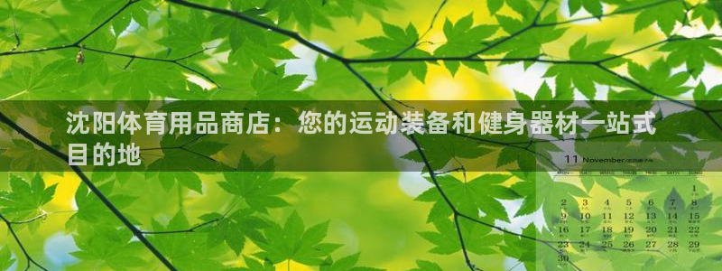 欧陆娱乐分分彩:沈阳体育用品商店:您的运动装备和健身器材一站